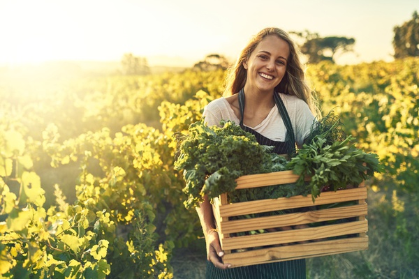 LES AIDES A L’INSTALLATION DES JEUNES AGRICULTEURS